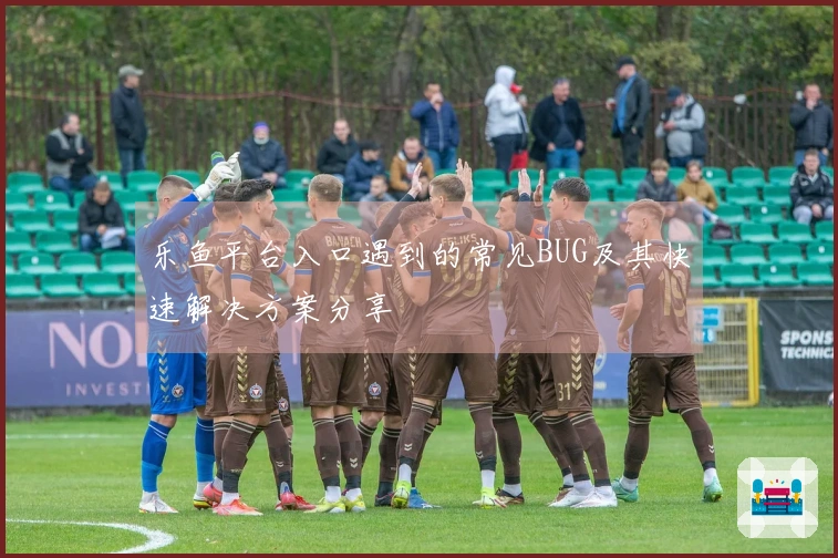 乐鱼平台入口遇到的常见BUG及其快速解决方案分享