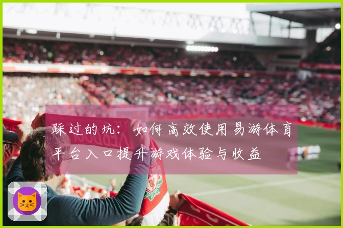 踩过的坑:如何高效使用易游体育平台入口提升游戏体验与收益