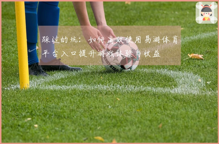 踩过的坑：如何高效使用易游体育平台入口提升游戏体验与收益